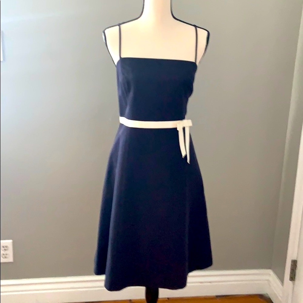 Ann Taylor petite dress in Size 12P